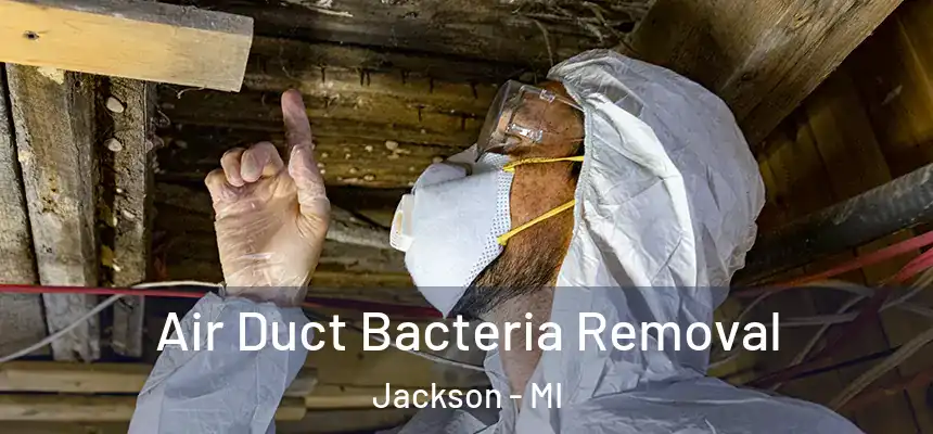  Air Duct Bacteria Removal Jackson - MI