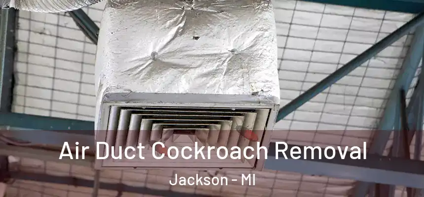  Air Duct Cockroach Removal Jackson - MI