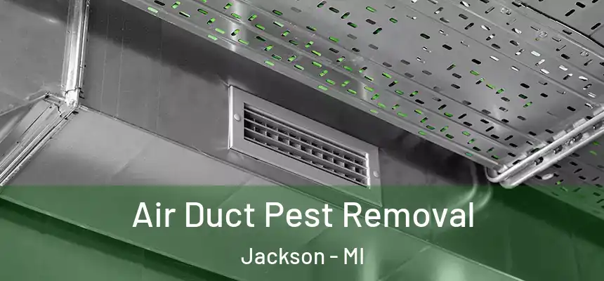  Air Duct Pest Removal Jackson - MI