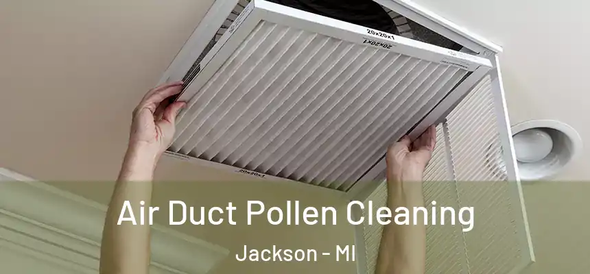  Air Duct Pollen Cleaning Jackson - MI