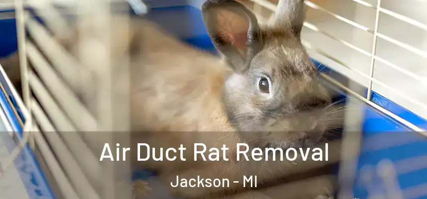 Air Duct Rat Removal Jackson - MI