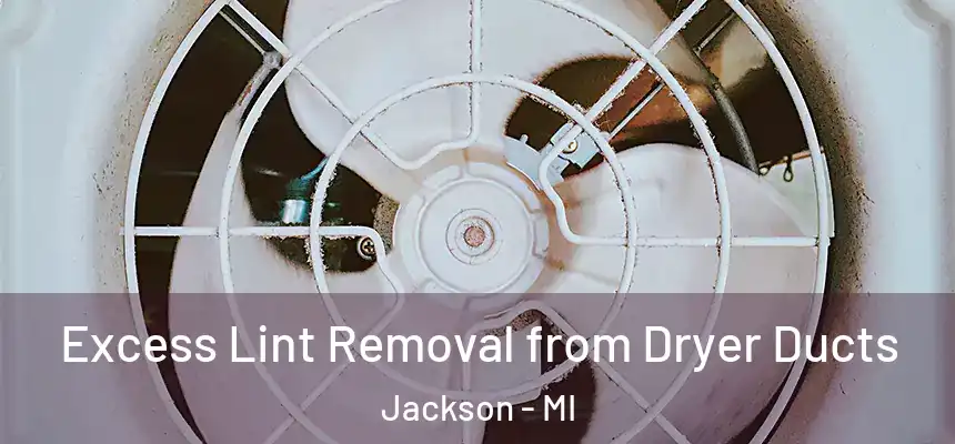  Excess Lint Removal from Dryer Ducts Jackson - MI
