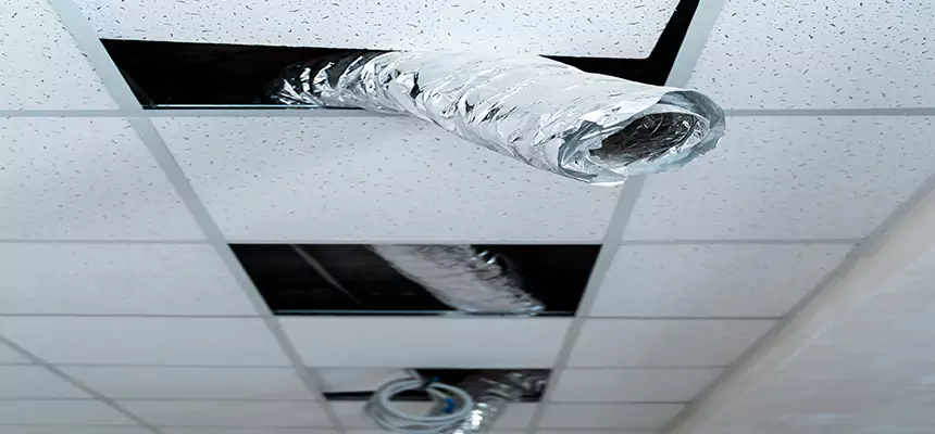 Our Air Duct Pet Hair Removal Services in Jackson, MI