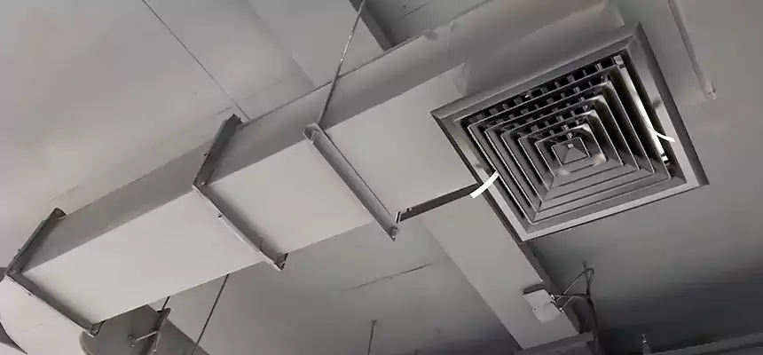 Restorative Allergy Relief Vent Cleaning – Coil, Blower & Housing Detail in Jackson