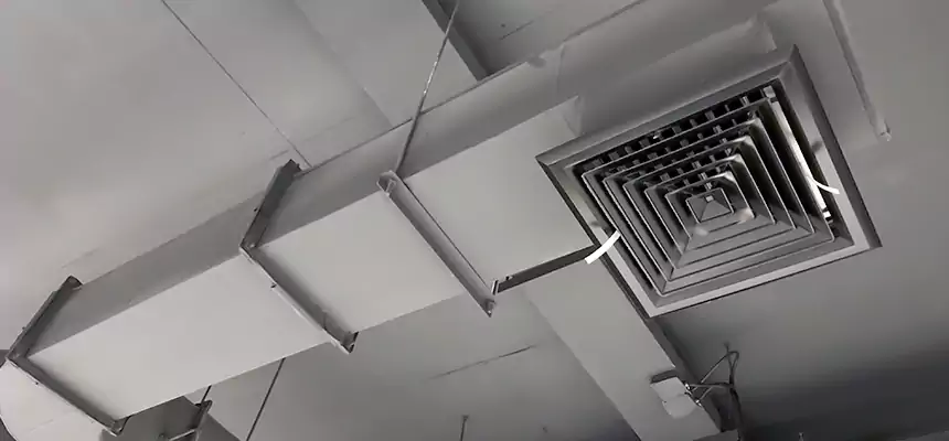 Our Pest Removal From Ducts Services in Jackson, MI