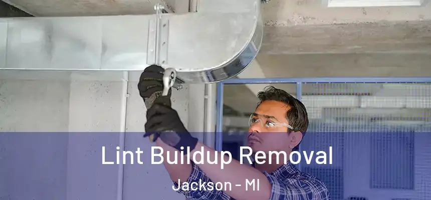  Lint Buildup Removal Jackson - MI