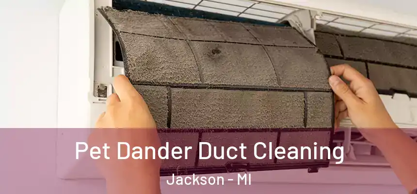  Pet Dander Duct Cleaning Jackson - MI