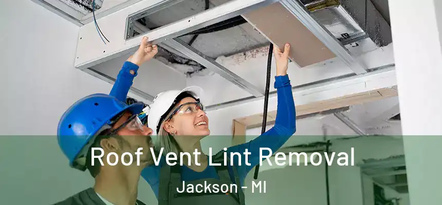  Roof Vent Lint Removal Jackson - MI