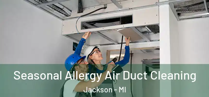  Seasonal Allergy Air Duct Cleaning Jackson - MI