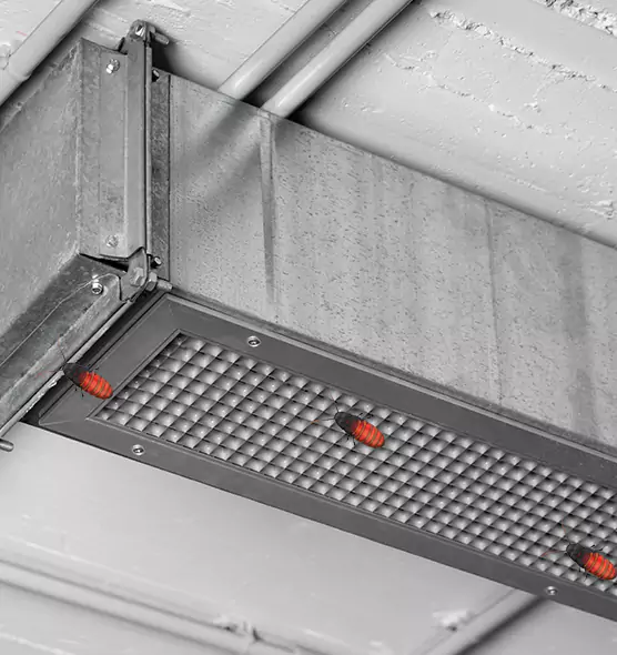 Affordable Insect Removal from Air Ducts in Jackson, MI
