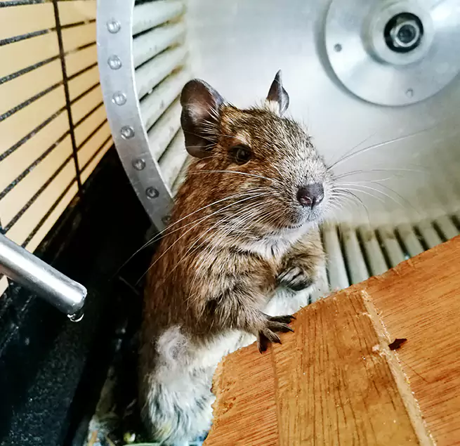 Why Homeowners & Businesses Trust Us Jackson, MI?