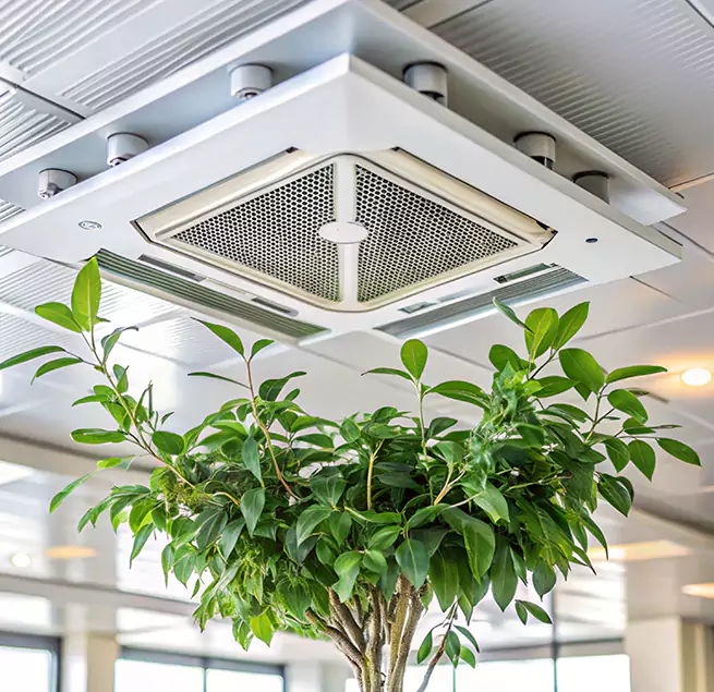 Why Homeowners & Businesses Trust Us in Jackson, MI?