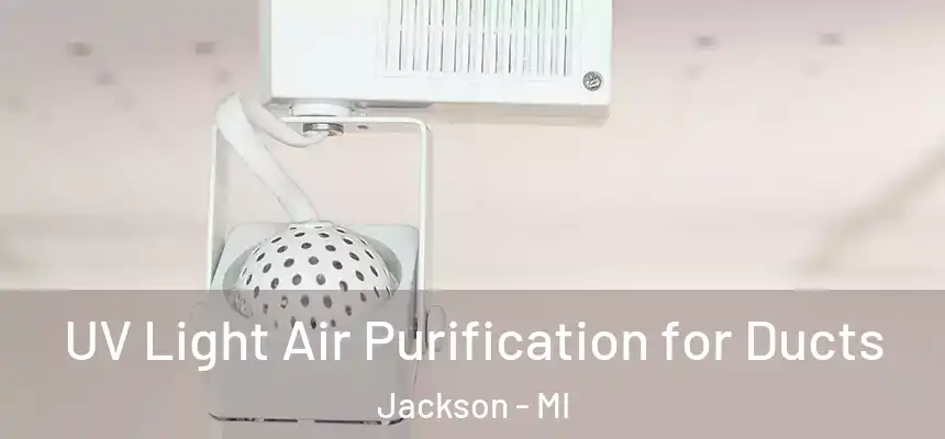  UV Light Air Purification for Ducts Jackson - MI